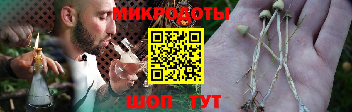 Псилоцибиновые грибы MAGIC MUSHROOMS  Вход с VPN  Галлюциногенные грибы GOLDEN TEACHER  Ртищево 